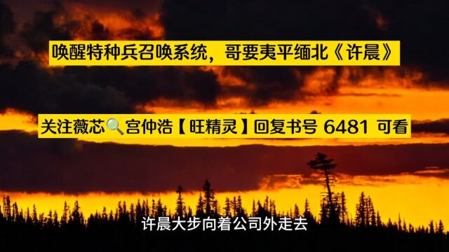 唤醒特种兵召唤系统,哥要夷平缅北《许晨》小说TXT阅读○全章节