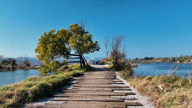 来吹吹滇池的风,来感受昆明春天的朝气与美好.