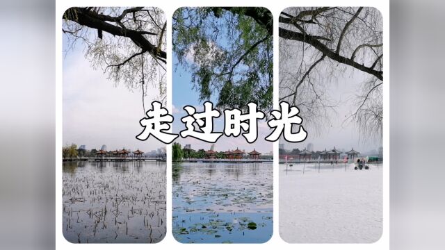 【路过风景】春夏秋冬,走过时光