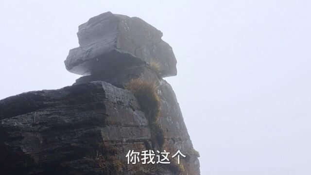 天空之城,梵净山(六)