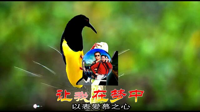 画 你 钢琴版 极乐鸟 辛更KTV音乐视频制作