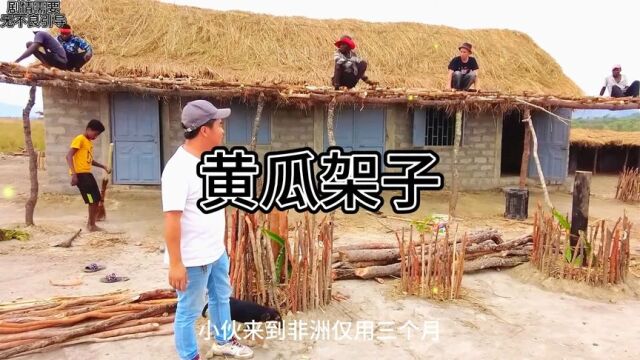 小伙到非洲仅用三个月,就帮助非洲当地村民获得了一笔不菲的收入