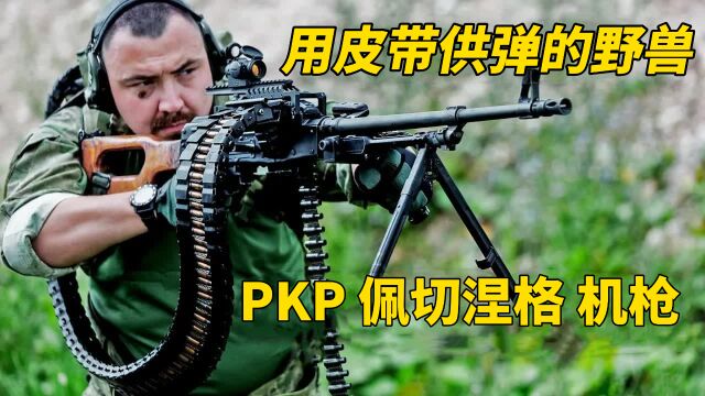 俄式暴力美学 PKP“佩切涅格”通用机枪 战场上的绞肉机