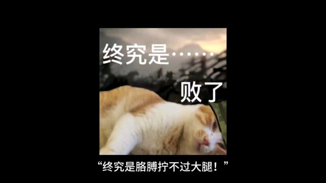 终究是胳膊拧不过大腿