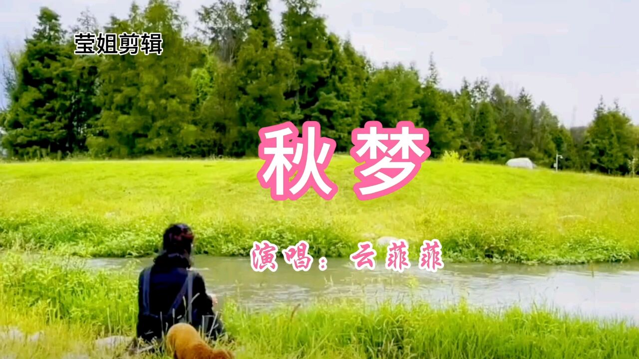 《秋梦 》云菲菲演唱,经典抒情歌曲,动人的旋律,好听至极