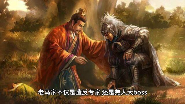 别怪刘备不拿马超当心腹,老马家不仅是造反专家,还是羌人大boss