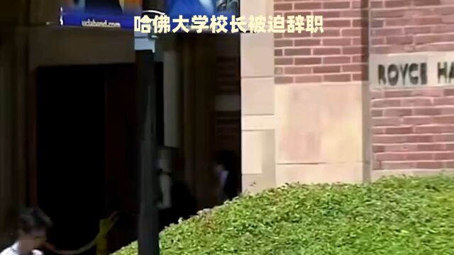 哈佛大学校长被迫辞职