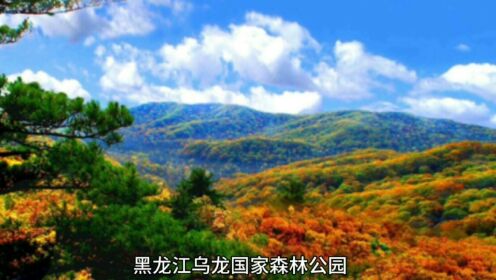 黑龙江乌龙国家森林公园游玩攻略