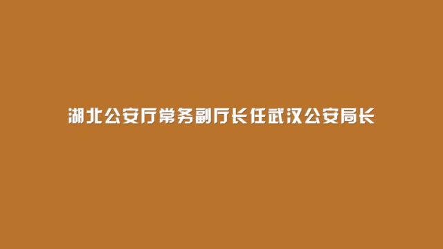 湖北公安厅常务副厅长,任武汉公安局长