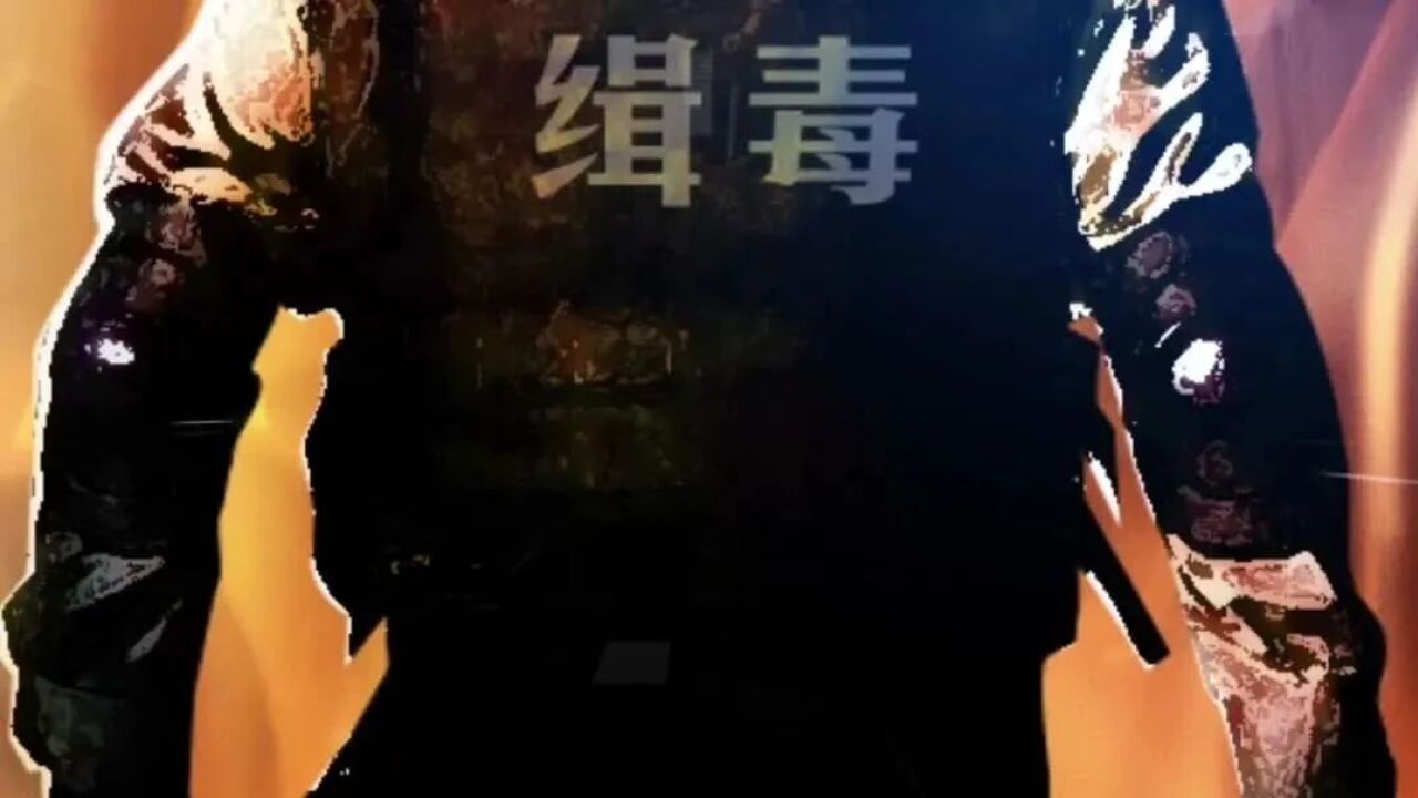 【中国人民警察节】他们遁入黑暗,逐鹿光明!致敬缉毒警察!