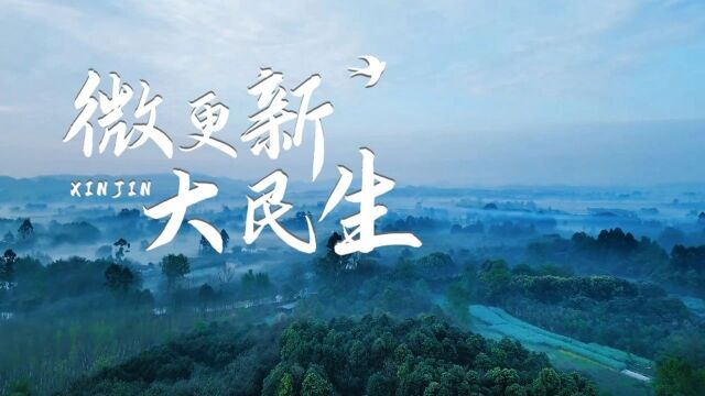 新津区2023年第四季度“镇街书记走社区、社区书记说社区”活动暨社区微更新现场拉练举行