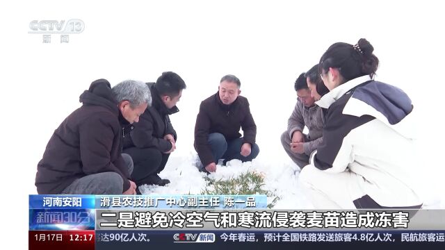 北方多地再迎强降雪 交通农业受影响