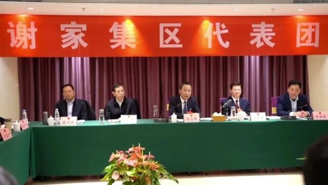 张志强参加市十七届人大四次会议潘集区、八公山区和谢家集区代表团审议