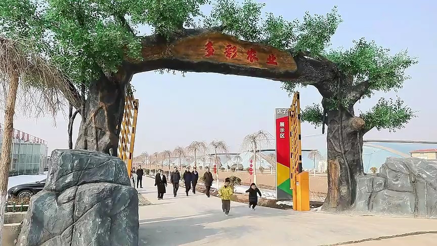 滨州市博兴县:近郊乡村采摘游火起来了