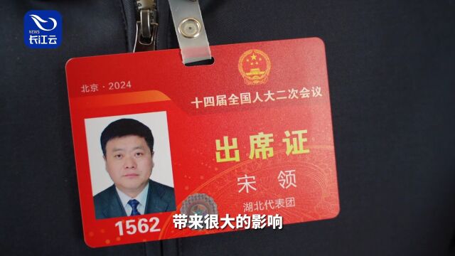 代表委员说丨宋领打造长江全流域黄金水道