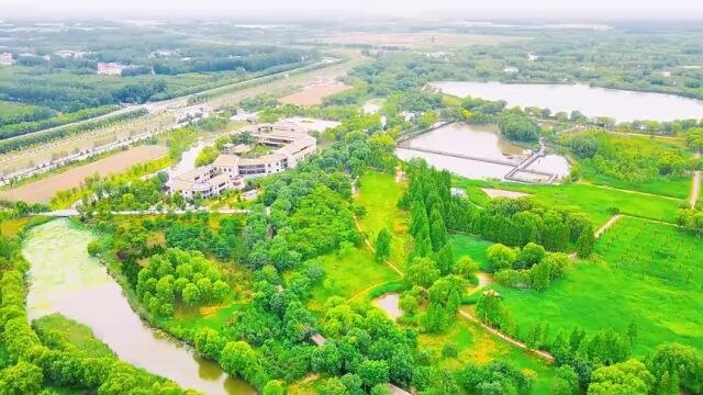 济南市槐荫区济西国家湿地公园春光无限