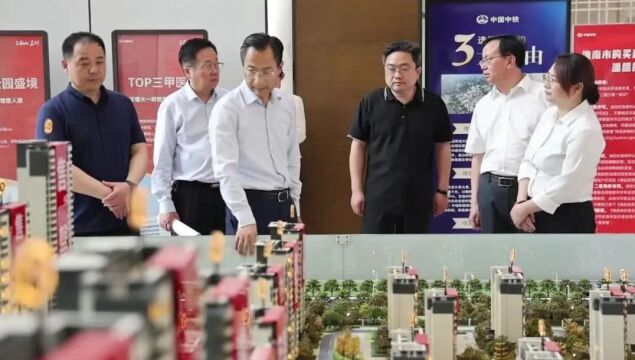 张志强督导调研市经开区,大通区产业发展和项目建设