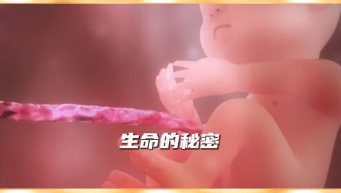生命是怎么诞生的?