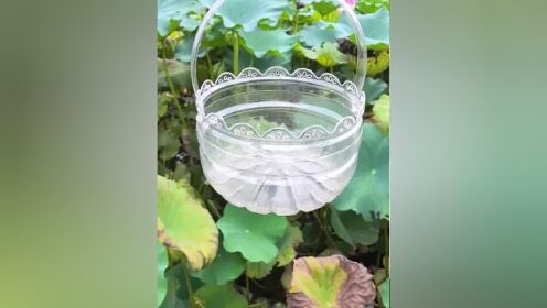 大号矿泉水瓶变废为宝做花篮 #手工花盆 #变废为宝 #手工 #自制花盆