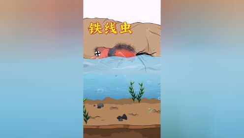 "铁线虫"可不是只能感染寄生节肢动物!