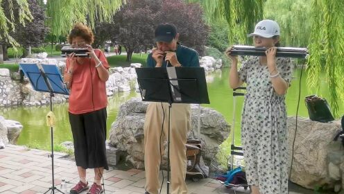 口琴演奏《美国巡逻兵》,旋律激昂