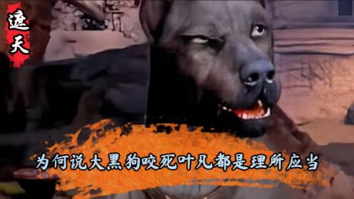 遮天:为何说大黑狗黑皇这么恨叶老黑还真是有道理的?