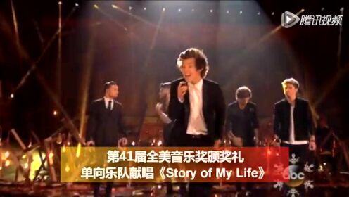 第41届全美音乐奖颁奖礼 单向乐队献唱《Story of My Life》