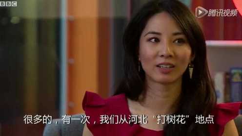 陆思敬：BBC为何拍《中国新年》纪录片