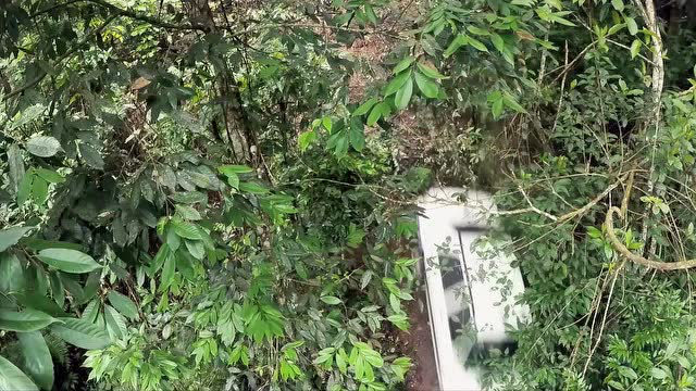 如果蜗牛有爱情 13集