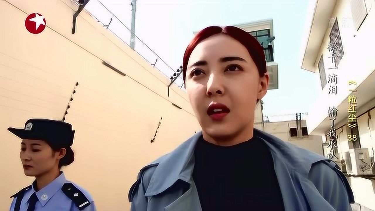 一粒红尘 38集