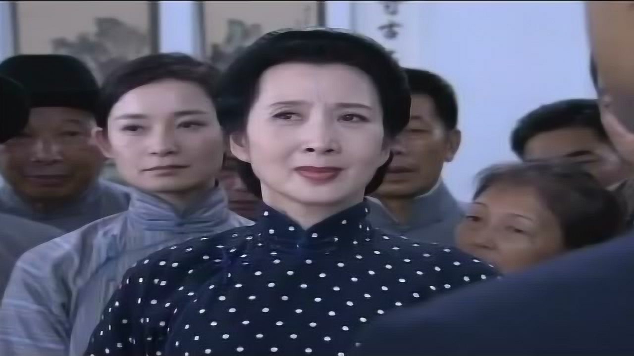 国母宋庆龄 25集