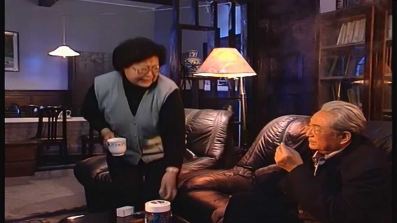 咱爸咱妈 19集