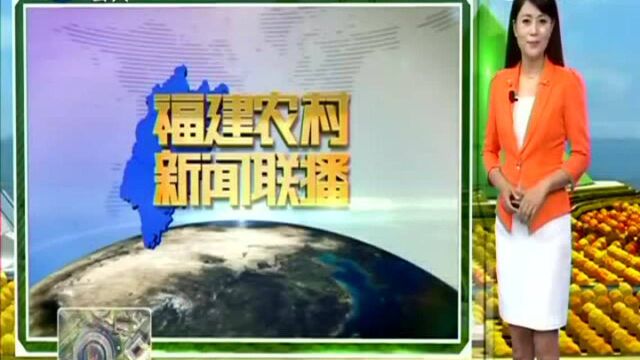 龙岩新罗 教育帮扶精准发力 扶贫助学拔“穷根”