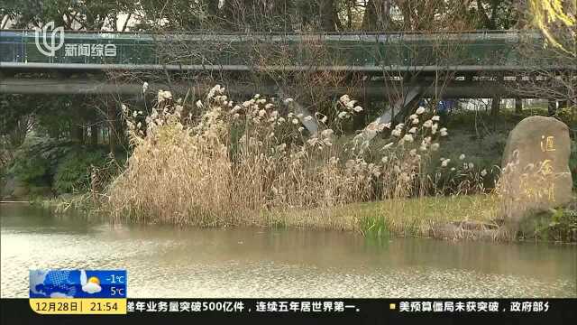 明晨气温破冰点 假期首日有雨雪