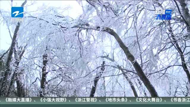 湖南张家界 天门山气温骤降 “雾凇”美景宛若仙境