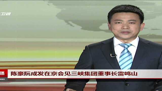 陈豪阮成发在京会见三峡集团董事长雷鸣山