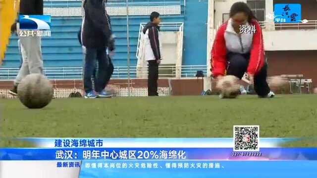 建设海绵城市 武汉:明年中心城区20%海绵化