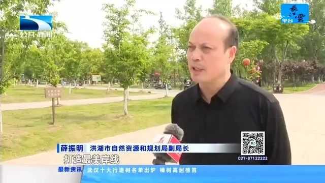 洪湖:整治复绿 打造长江最美岸线