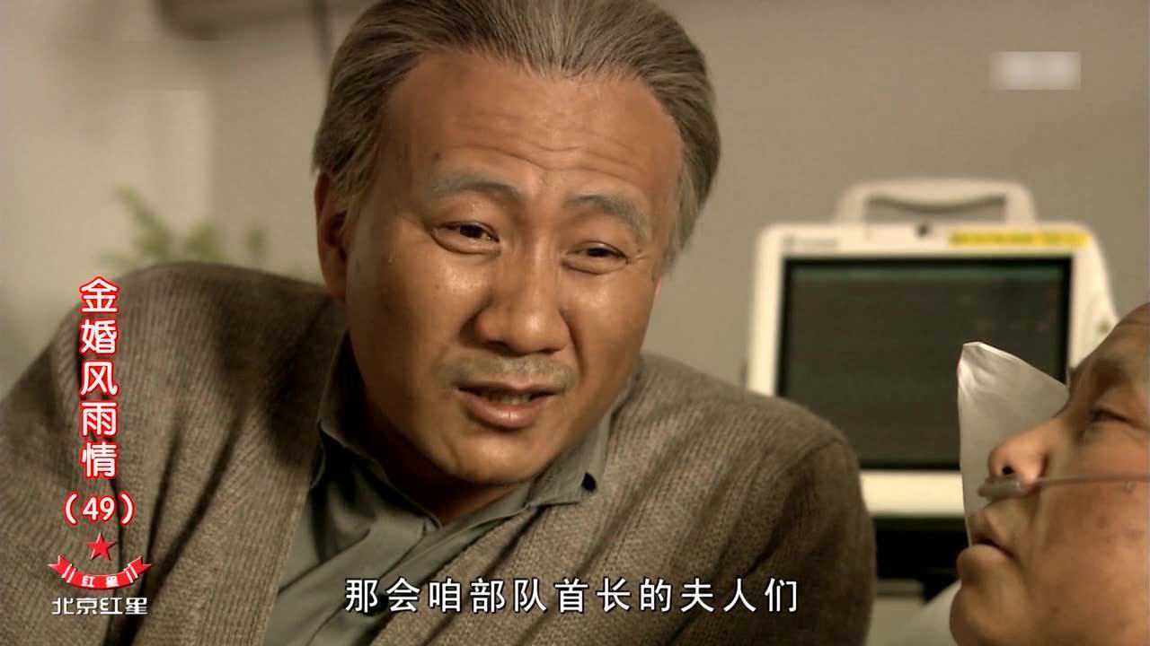 金婚风雨情 49集