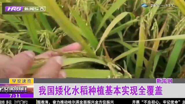 我国矮化水稻种植基本实现全覆盖