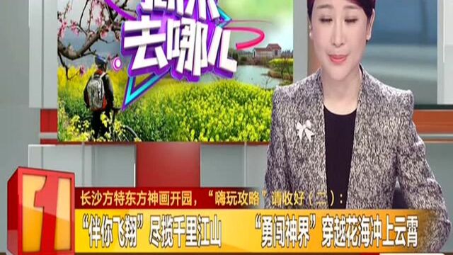 长沙方特东方神画开园,“嗨玩攻略”请收好(二):“伴你飞翔”尽揽千里江山 “勇闯神界”穿越花海冲上云霄