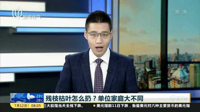 残枝枯叶怎么扔? 单位家庭大不同