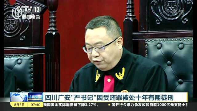 四川广安“严书记”因受贿罪被处十年有期徒刑