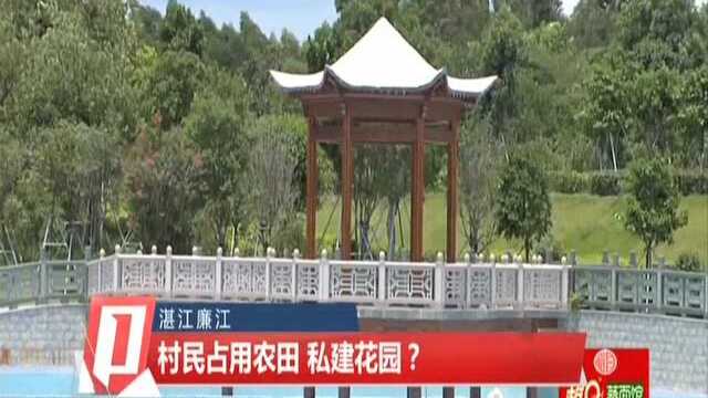 湛江廉江:村民占用农田 私建花园?