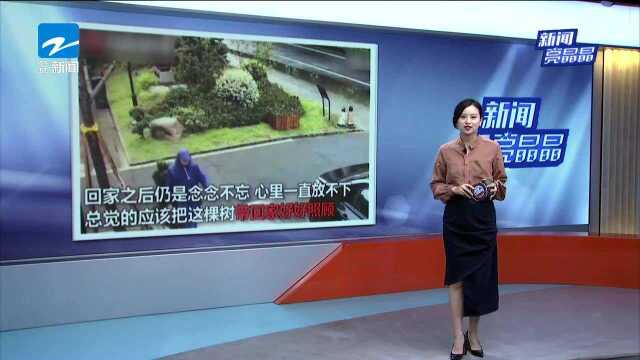 3岁娃随音乐起舞 上演抖腿摸头杀