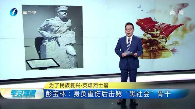 为了民族复兴ⷨ‹𑩛„烈士谱 彭宝林:身负重伤后击毙“黑社会”骨干