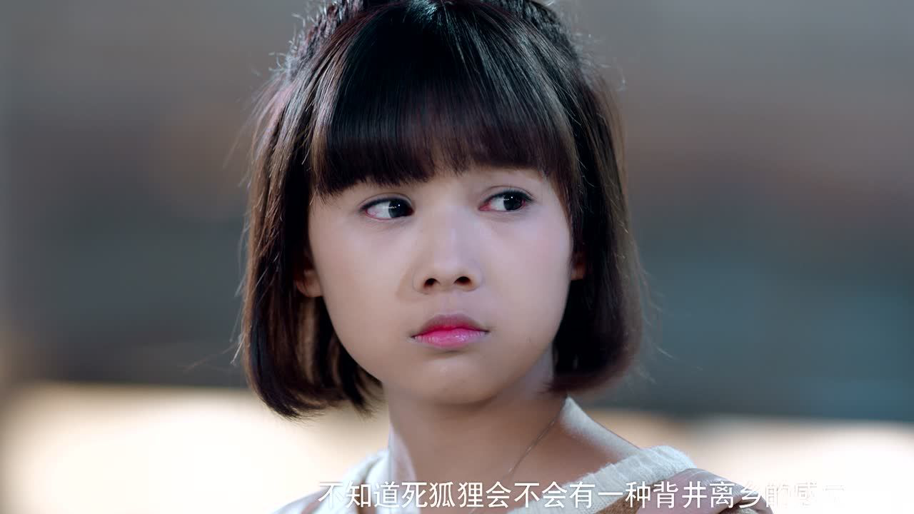 白狐的人生 4集