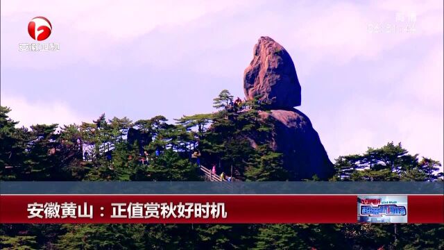 安徽黄山:正值赏秋好时机