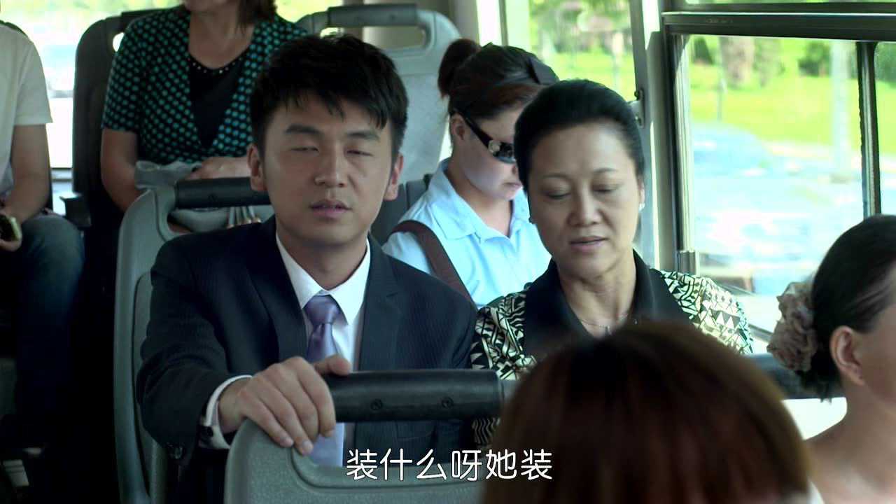 丈母娘来了 6集