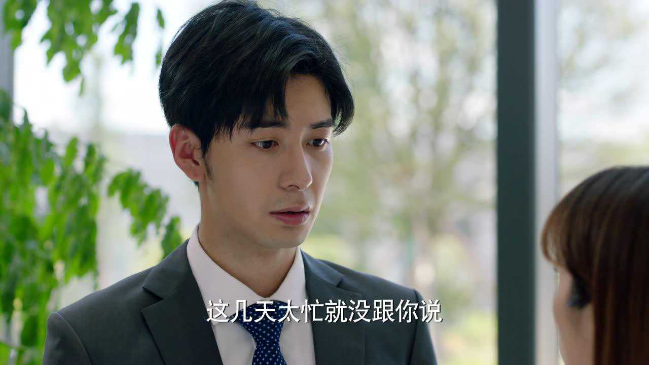 最好的时代[DVD版] 24集